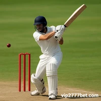 PBC ক্রিকেট বেটিং_২